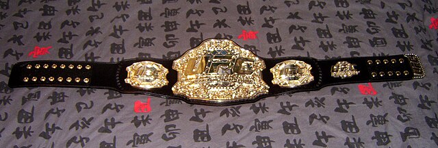 How UFC Promotion Drives&nbsp;Revenue